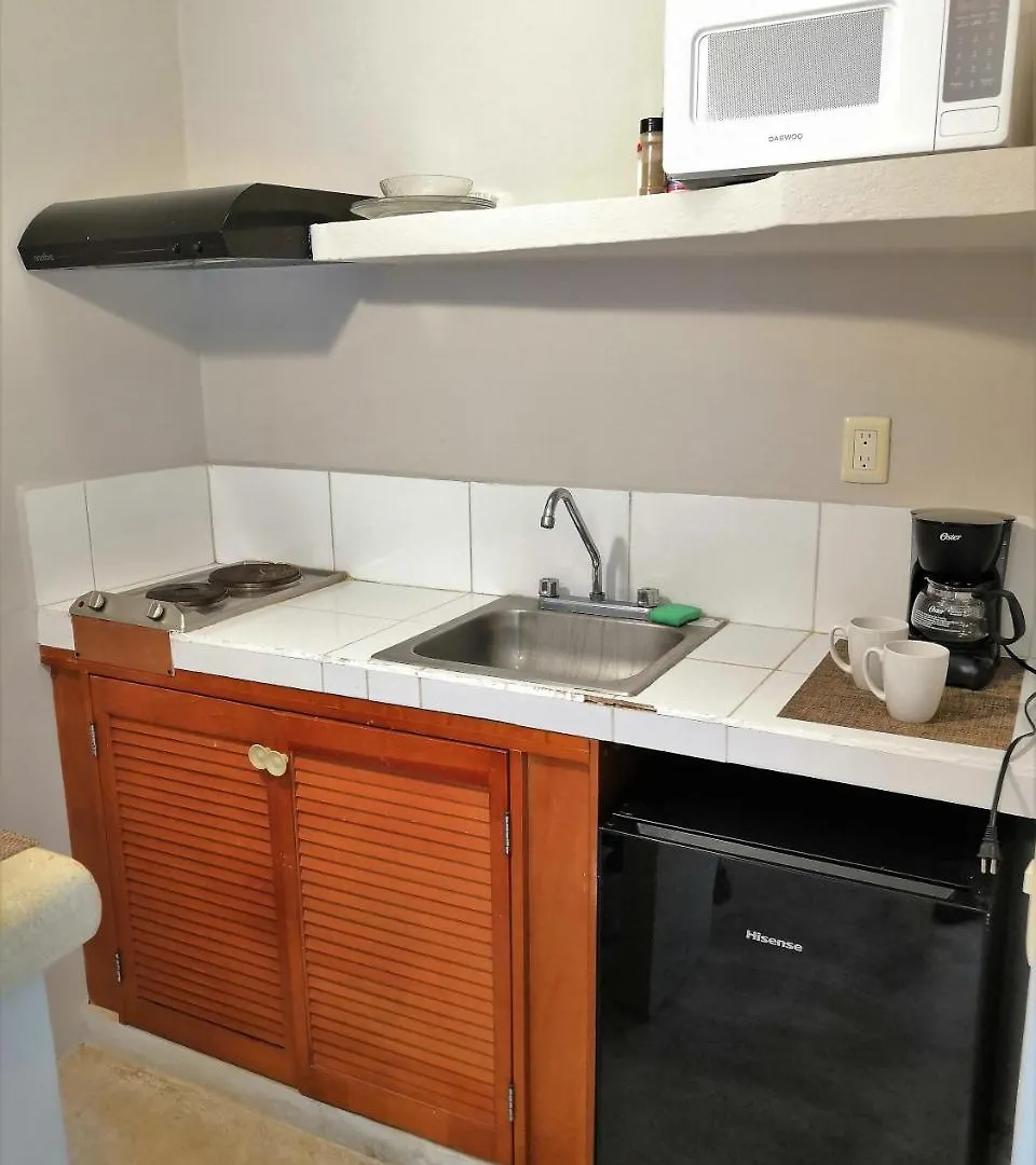 פלאייה דל כרמן Apartment & Studio 28