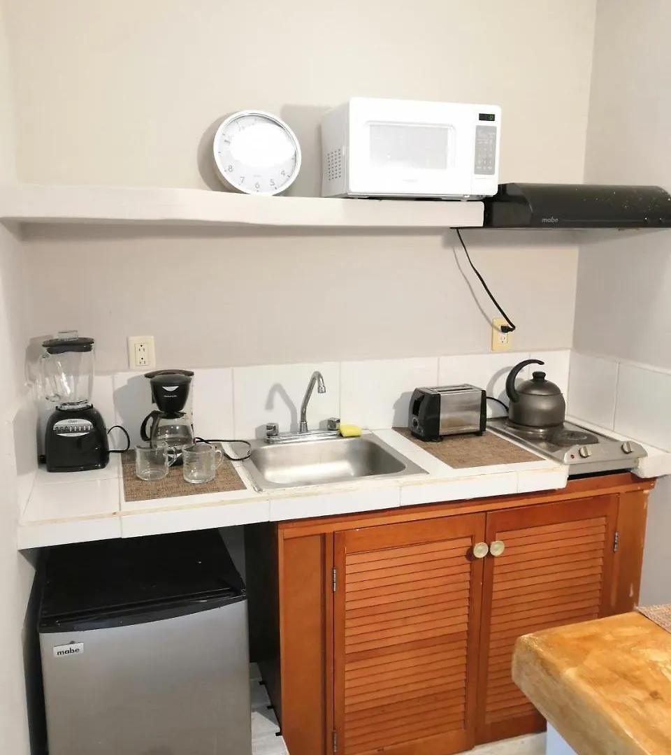 פלאייה דל כרמן Apartment & Studio 28