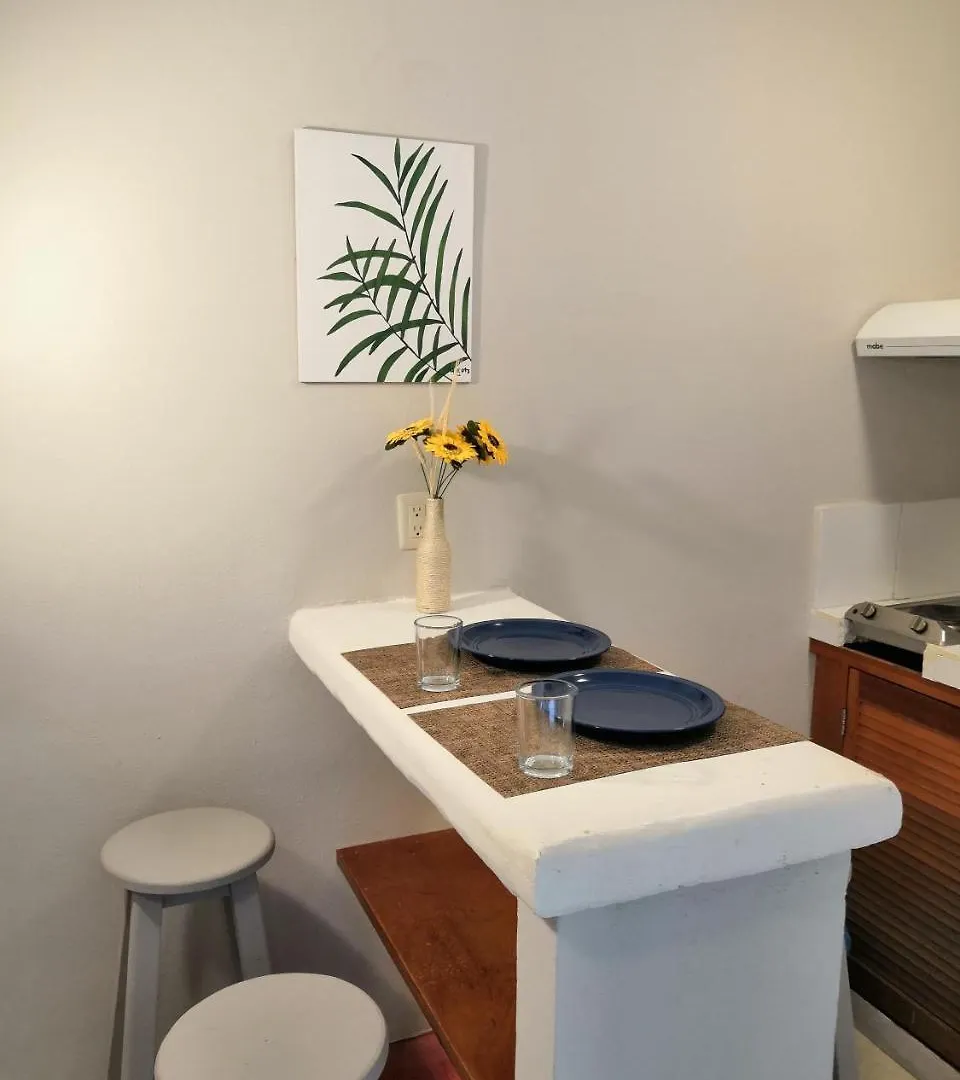 פלאייה דל כרמן Apartment & Studio 28